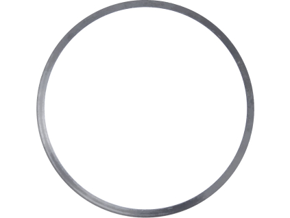 TESLA Neutron (Blank)