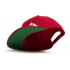 AXIOM HAT (Snapback)