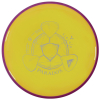neutron paradox yellow purple1K 1