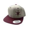 ET SHOP snapback grey purple (1)