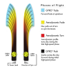 Terra Flight Chart