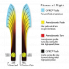 chart fireball