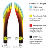 Streamline Chart Rhythm