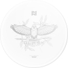 dlask white