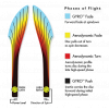 1769 relativity proton